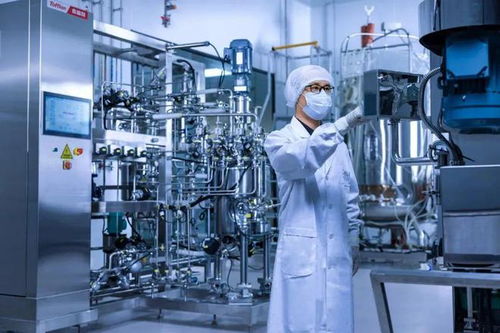 2023年中国10大创新食品公司,它们用爆款 ai 数据触碰未来