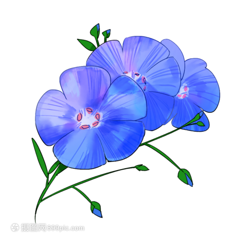 水彩蓝色小花